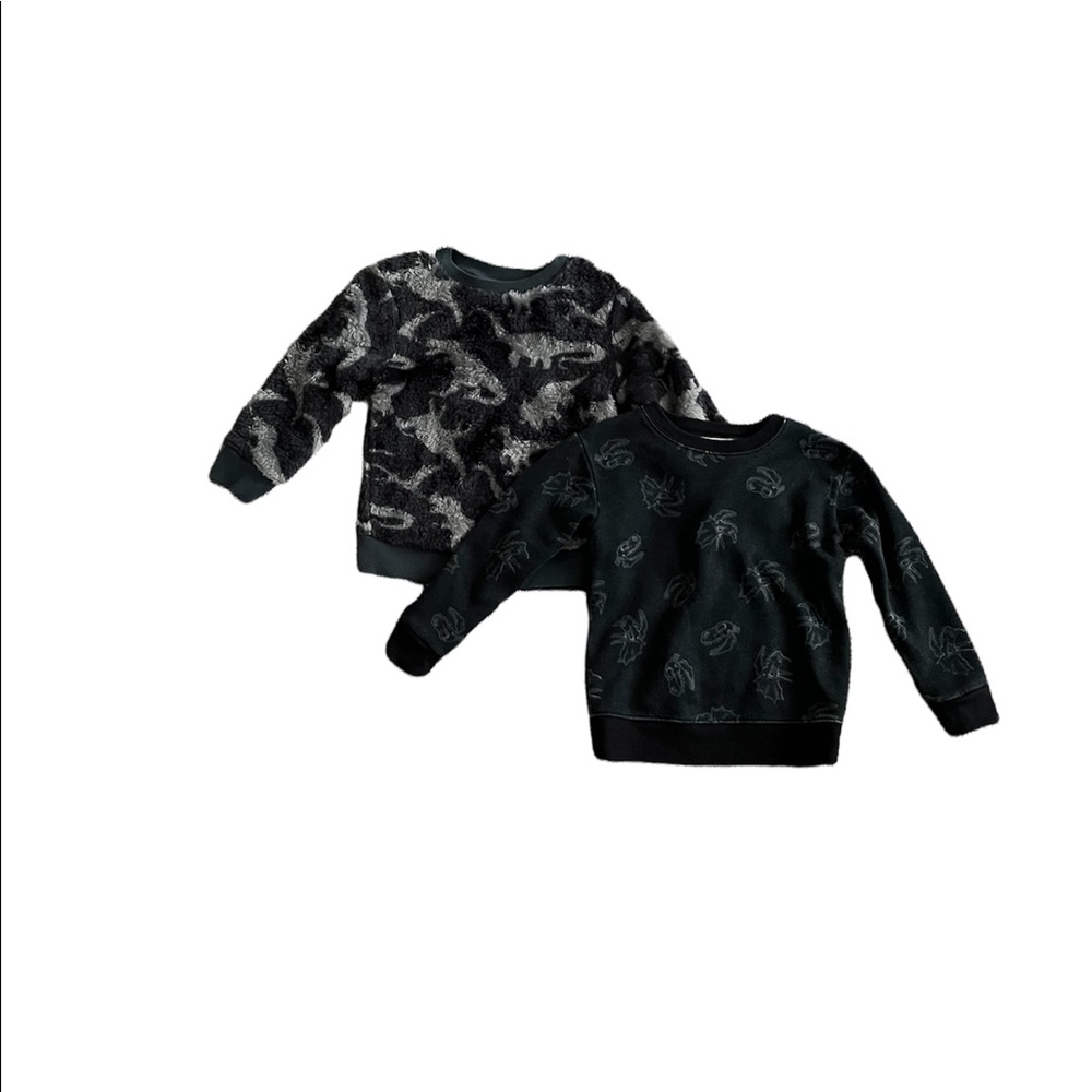 Toddler boys dinosaur sweatshirts size 3T